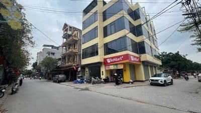 Bán Biệt Thự 168m² Mặt Tiền 8m Gần Võ Văn Kiệt, Cầu Thăng Long