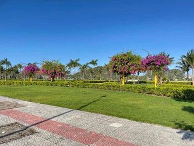 4.8 Tỷ Có Ngay lô Nam Hoà Xuân Đường 7m5 Bao Đẹp