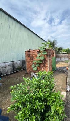Đất Xã Hưng Long, Bình Chánh, DT 4 x 23,4m2. Giá bán thương lượng