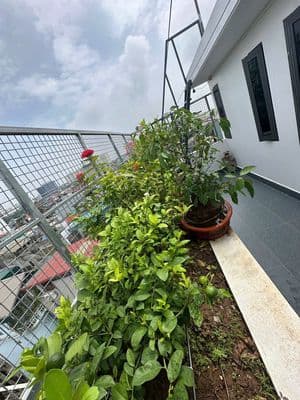 Cho thuê mặt bằng tầng 7 lắp đặt trạm thu phát sóng viễn thông (BTS).