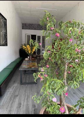 Mặt bằng kinh doanh Quang Trung