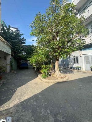 Cho thuê nhà nguyên căn hẻm xe hơi đường số 51 Gò Vấp