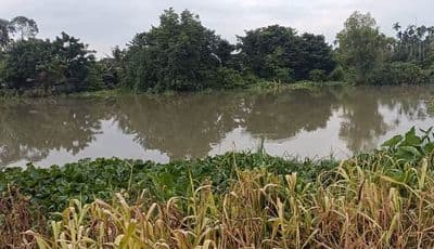 Đất vườn view Sông tại Thuận An, Bình Dương
