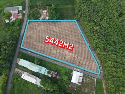 Bán đất 3MT An Nhơn Tây - Huyện Củ Chi