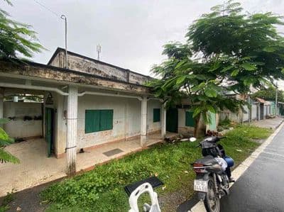 Cho thuê nhà mặt tiền nguyên căn đường Nguyễn Thị Nê, Củ Chi
