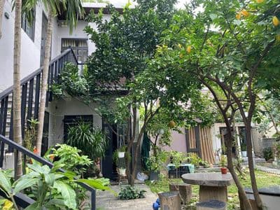 Cho thuê căn hộ 1PN kiểu nhà Vườn - Đường Nguyễn Công Trứ, gần biển