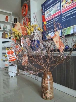 Căn hộ penthouse -diện tích 145m