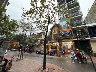 Sàn VP 14 Huỳnh Thúc Kháng - Nguyên Hồng, 40 m2, thông sàn 7 triệu