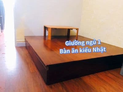 Chính chủ cho thuê CC Lê Thành Mã Lò, 32m2, 1PN