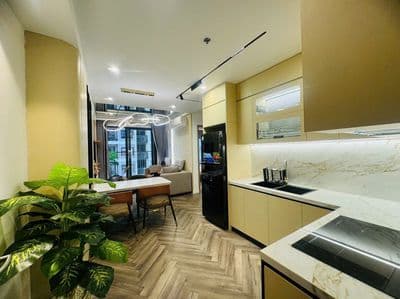 Bán căn 2N1VS 54m2 full đồ đẹp Vinhomes smart city Tây Mỗ.Giá 4,150 tỷ
