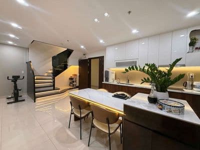 cho thuê Penthouse Phú Đông Sky Garden ngay Phạm Văn Đồng y hình