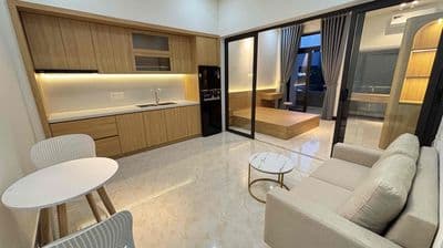 Cho thuê căn hộ 1 ngủ đường phan đăng lưu