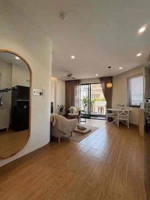 căn hộ dịch vụ dạng 1PN cho thuê ngay trung tâm Q7 sang q4,q1 5p