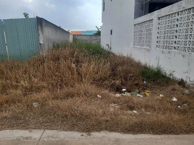 bán đất mặt tiền ngay trung tâm cần giuộc
