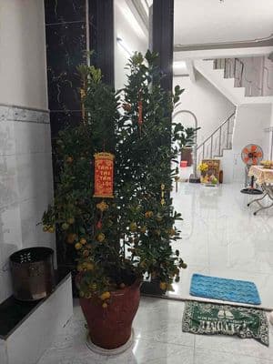 Cho thuê tầng trệt – 1/hậu giang, quận 6