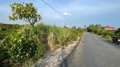Đất nền kdc mới xã thanh mỹ - có thương lượng