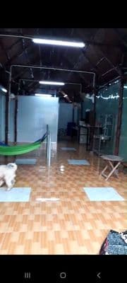 cho thuê nhà nguyên căn an phú đông vườn lài quận 12