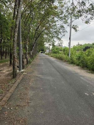 đất nền chánh phú hoà