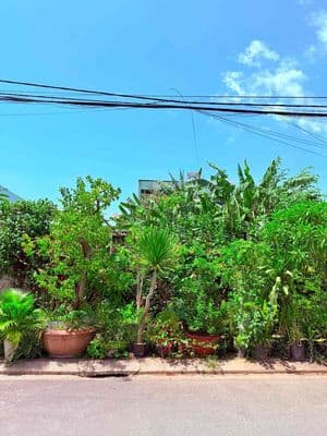 Bán đất Nguyễn Hàm Ninh đầu đường nam Cẩm Lệ Hoà Xuân Đà Nẵng giá rẻ