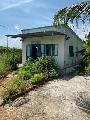 Bán nhà vườn 742m2 sát cống Láng Ven Hoà Khánh Đức Hoà