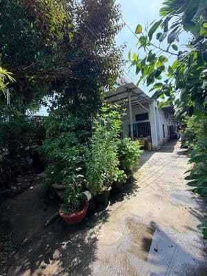 Bán 202m2 đất tặng dãy trọ 4 phòng kiệt oto Tô Hiệu