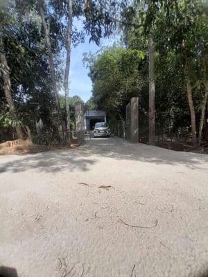Bán Nhà Mặt TL6, An Nhơn Tây, Củ Chi - Diện tích 500m2, thổ cư 120m