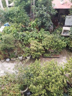 Mảnh đất 170m2 - 400m2 mặt ngõ phố Vạn Kiếp