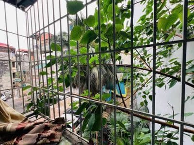Bán căn hộ tập thể Giải Phóng, Thanh Xuân, siêu rẻ, 36m2, 3.85 tỷ