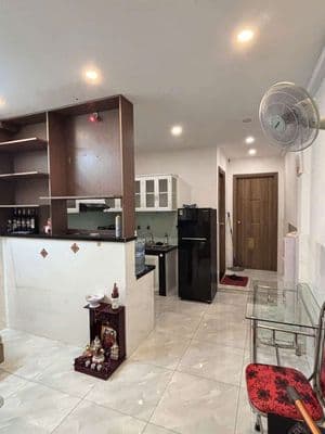 Cho thuê chung cư full nội thất Trần Quang Diệu Quận 3.