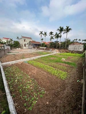 Bán đất 80m2 Phú Xuyên tặng lưu không 30m