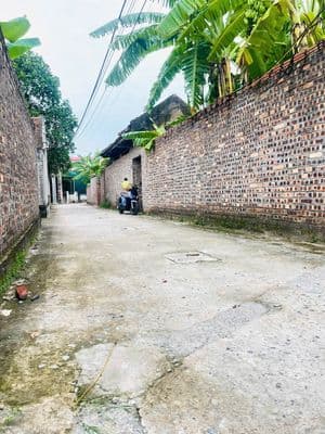 Bán đất 62m² Đại Tảo, Sóc Sơn, Hà Nội - Sổ đỏ sẵn sàng