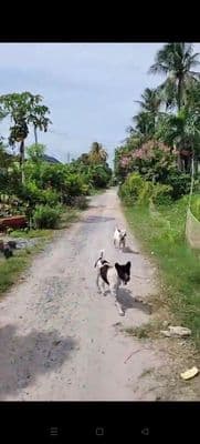Bán đất hẻm 22 Trần Phú, mặt tiền 10m, 1 tỷ
