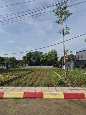 Bán đất gần trung tâm Thị Trấn Sóc Sơn, ô tô tránh
