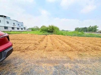 Đất tốt đất hot cần đước
