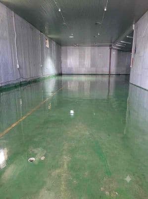 Cho thuê kho xưởng 450m2 Hoàng Hữu Nam - Quận 9