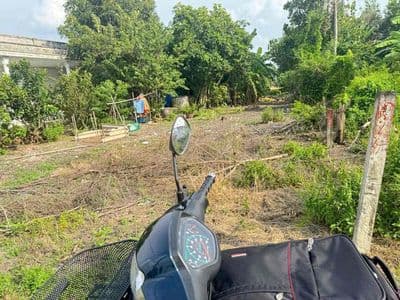 Chủ bán gấp 300m2 thổ + 2500m2 vườn ở cần đước