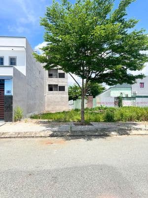 Lô 105m2 Đường Số 11 KDC Tân Đô - Đối Diện Siêu Thị, Trường Học
