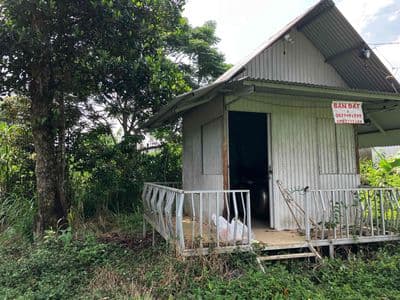 Đất có thổ cư, có suối