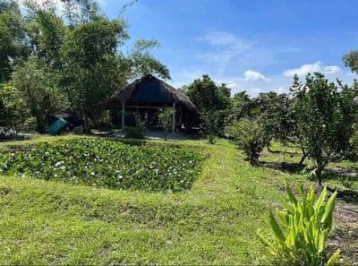 Cần bán gấp lô đất full thổ cư