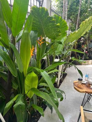 Bán nhà ngay siêu thị Emart
