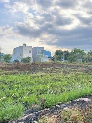 bán đất KDC hoàng phan thái xã bình chánh