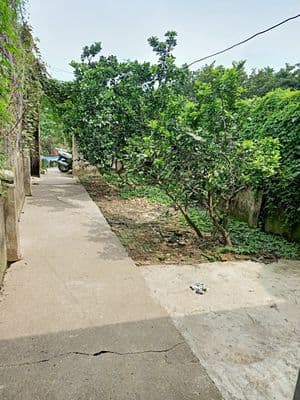 Cho thuê nhà riêng 82m2 tại Đức Diễn, Phú Diễn, Hà Nội giá rẻ 4tr6/th