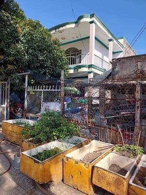 Bán đất Cần Giờ Giồng Ao
