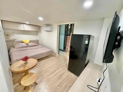Căn hộ mini siêu xinh gần cầu chữ y giáp quận 5