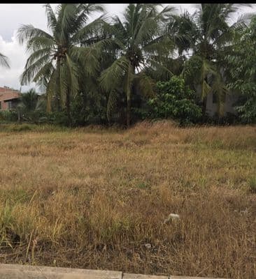 Bán đất khu dân cư châu thành, tiền giang