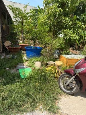 Chủ cần tiền bán rẻ nền thổ 112m2 đường ô tô, cách Bình Chánh 500m