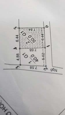 cần tiến bán gấp