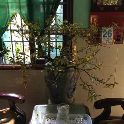 Bán nhà nguyên căn gác lỡ
