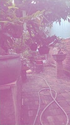 bán nhà gần quốc lộ 51
