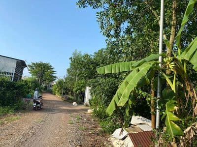 Bán đất